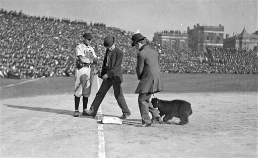 Wrigley Field 10 Things To Know